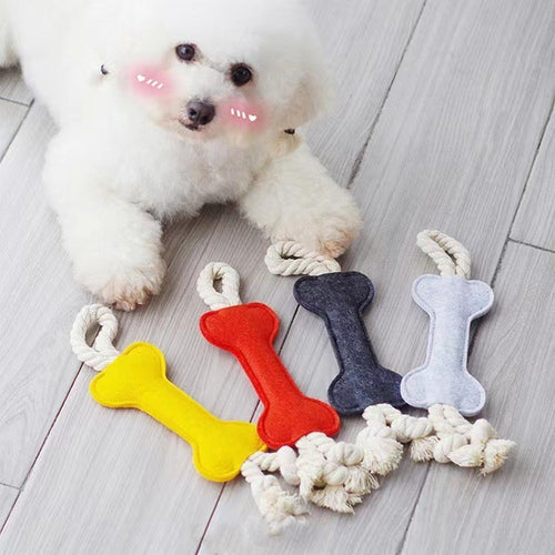 Bony-Fide Fun: Felt Molar Chew Toy