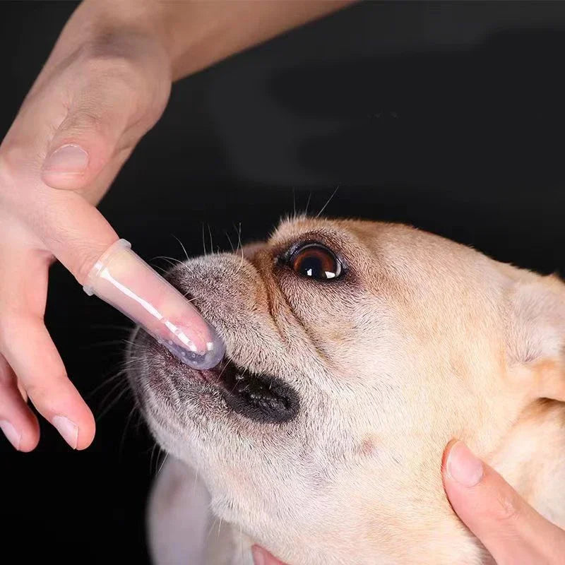 Finger Fresh Silicone Pet Toothbrush